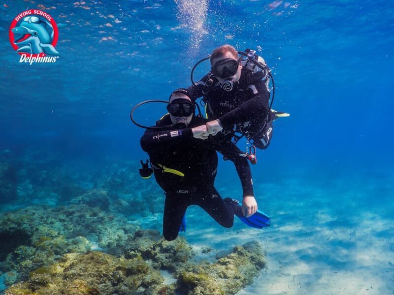 Gran Canaria: Discover Scuba Diving Beginner Program - Price and Value Analysis