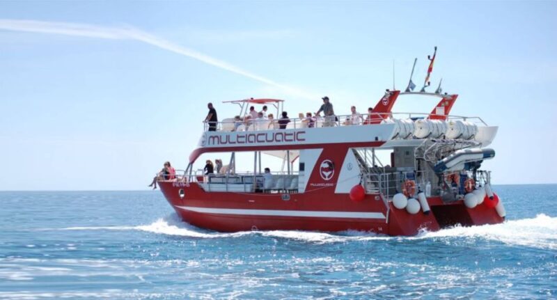 Gran Canaria: Dolphin and Whale Watching Cruise - Starting Point and Transportation