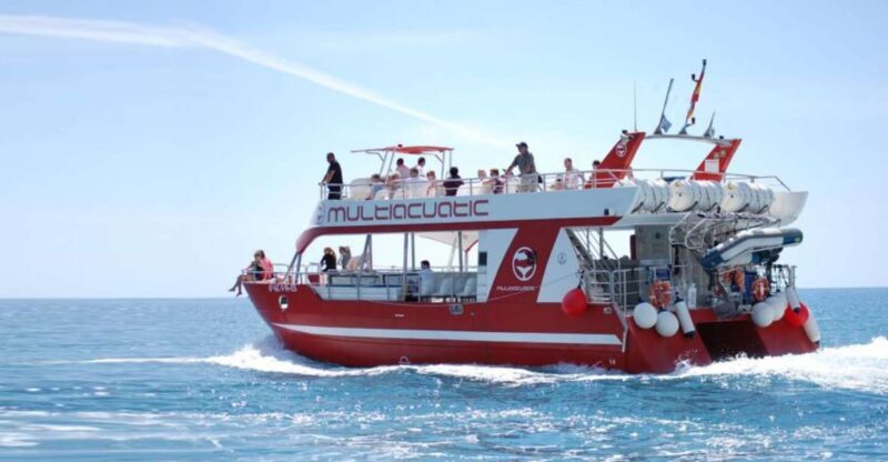 Gran Canaria: Dolphin and Whale Watching Cruise - The Catamaran: A Comfortable Platform for Marine Watching