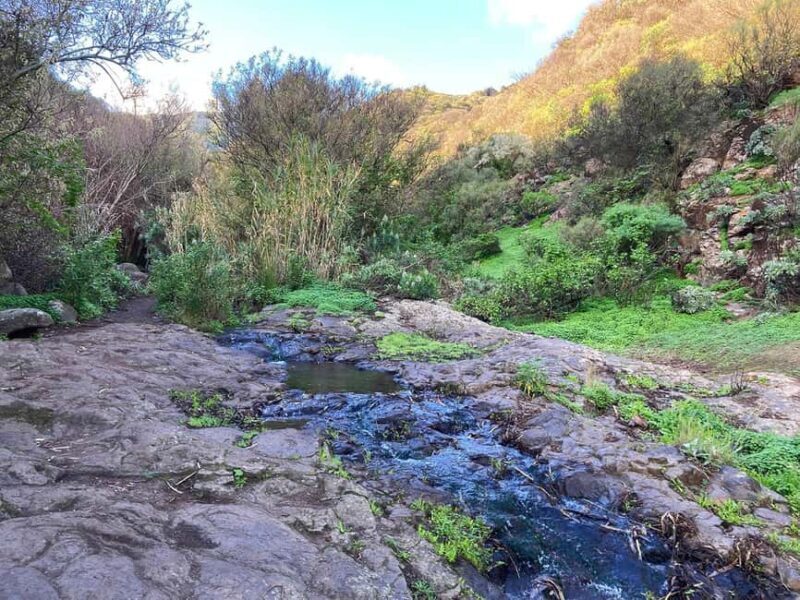 Gran Canaria: excursion to the Barranco de los Cernícalos - Small Group, Personal Touch