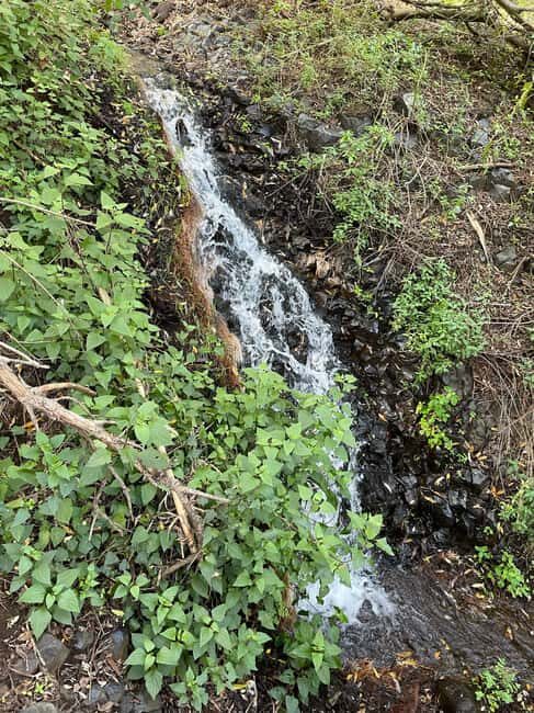Gran Canaria: excursion to the Barranco de los Cernícalos - Authenticity and Cultural Discovery