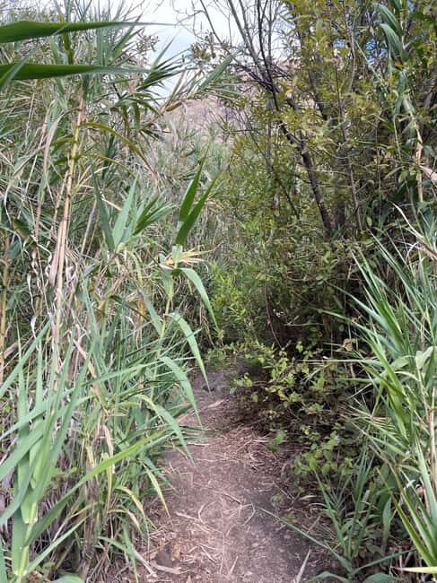 Gran Canaria: excursion to the Barranco de los Cernícalos - Frequently Asked Questions