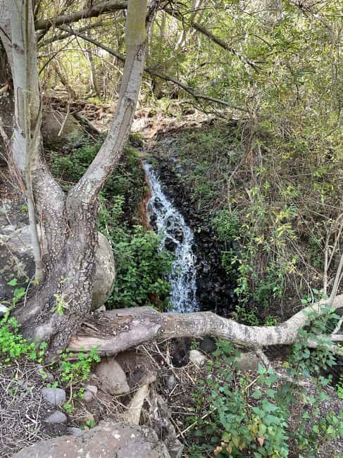 Gran Canaria: excursion to the Barranco de los Cernícalos - Who Would Enjoy This Tour?