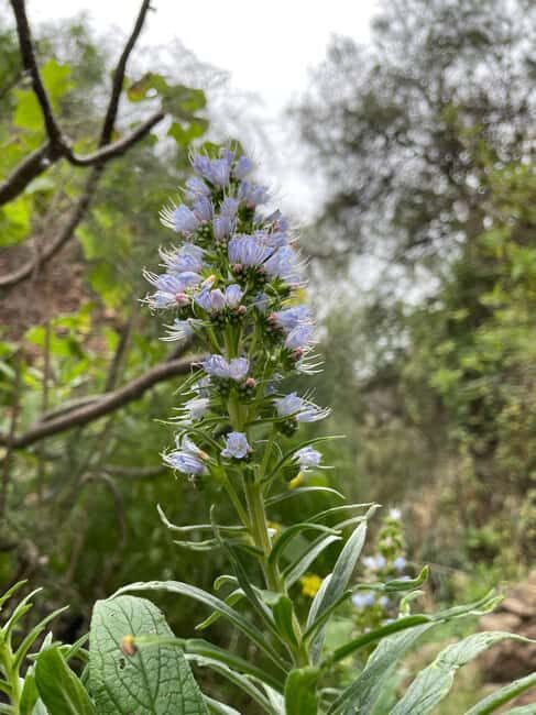 Gran Canaria: excursion to the Barranco de los Cernícalos - Final Thoughts