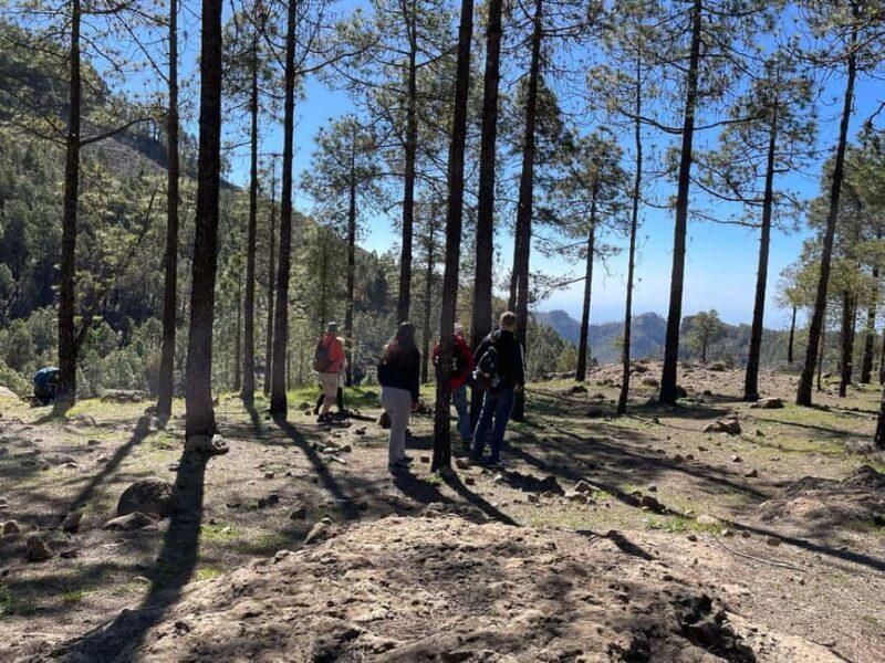 Gran Canaria: excursion to the Ventana del Nublo - Gran Canaria: Excursion to the Ventana del Nublo