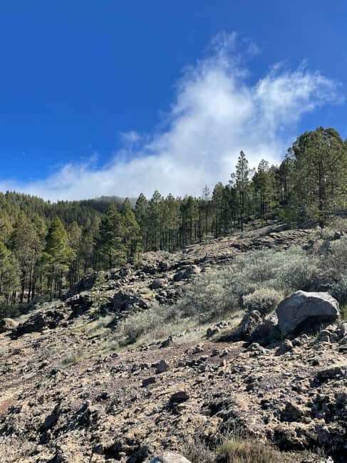 Gran Canaria: excursion to the Ventana del Nublo - Practical Details and What You Need to Know