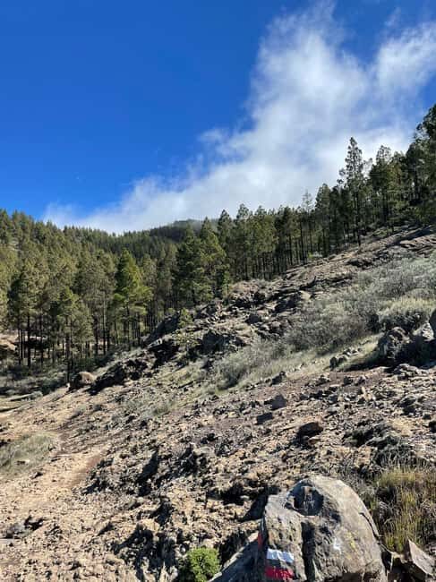 Gran Canaria: excursion to the Ventana del Nublo - Final Thoughts
