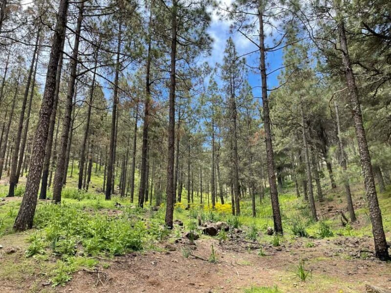 Gran Canaria: excursion to the Ventana del Nublo - FAQ