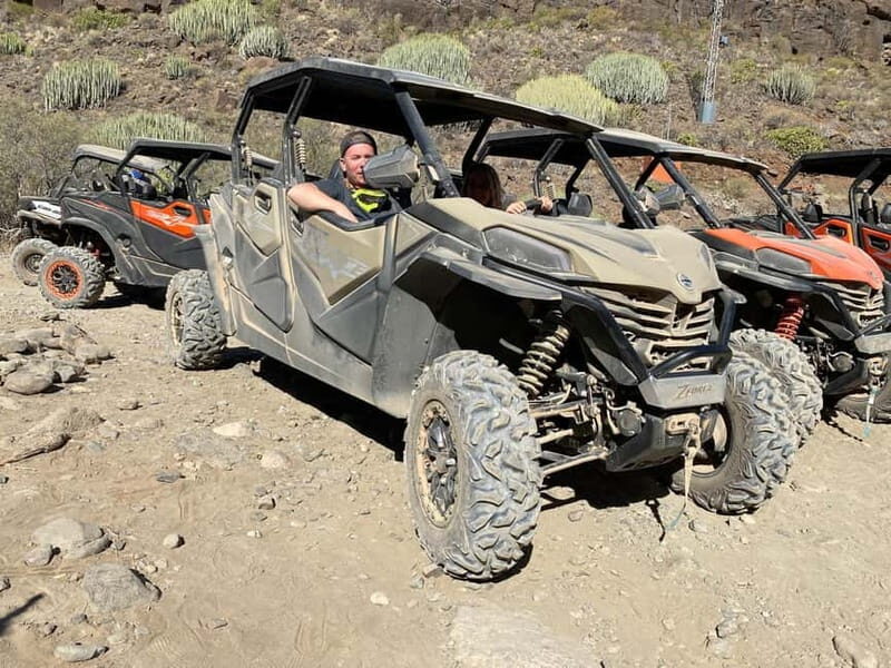 GRAN CANARIA: FAMILY MONSTER BUGGY *4 SEATS -LONG TOUR 2.5HR - Who Should Consider This Tour?