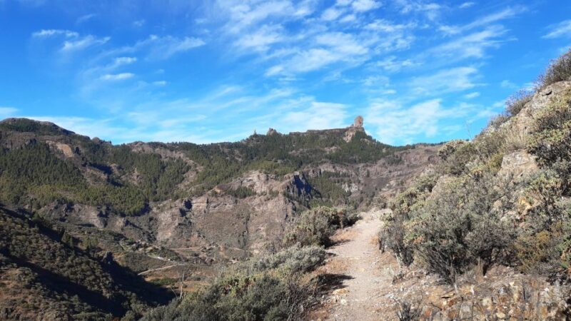 Gran Canaria: Full-Day Guided Hiking With Snacks - Exploring Gran Canaria on Foot: Full-Day Guided Hiking With Snacks