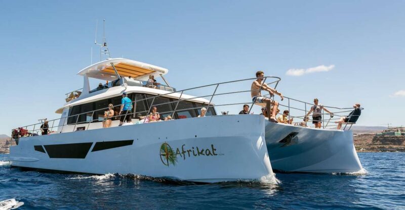 Gran Canaria: Fun Catamaran Cruise with Food and Drinks - Why We Love This Catamaran Cruise