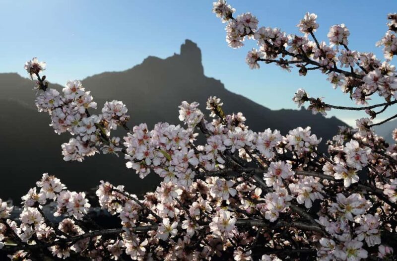 Gran Canaria Gran Tour - Key Points