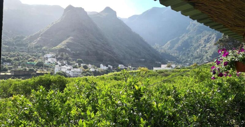 Gran Canaria: Grand Island Tour by Bus with Transfers - A Deep Dive Into the Gran Canaria Grand Island Tour