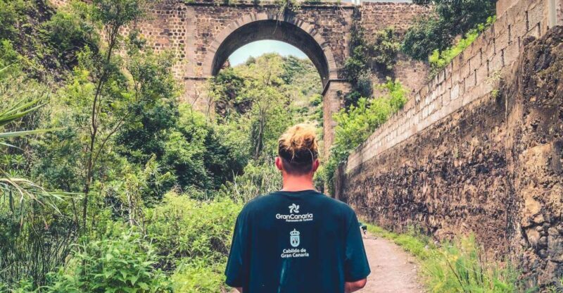 Gran Canaria: Guided Day Tour to Rainforest with Tasting - A Detailed Look at the Experience