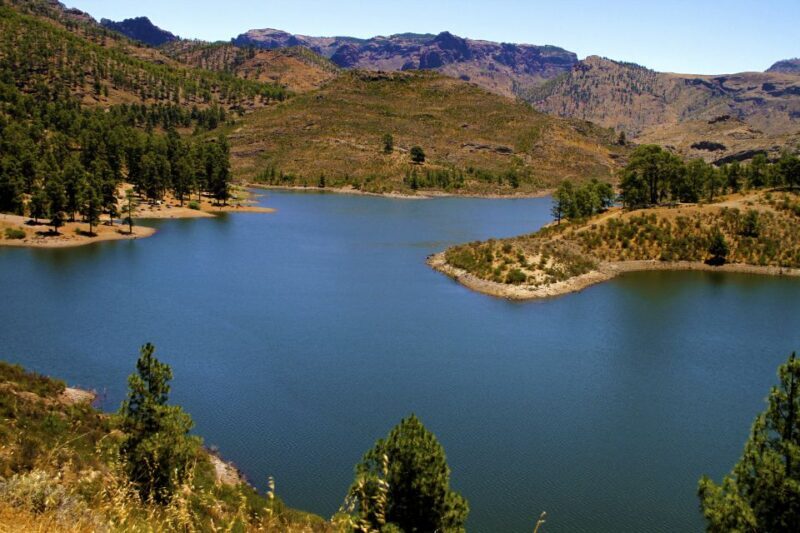 Gran Canaria Highlights Full-Day Tour by Bus - A Closer Look at the Tour Experience