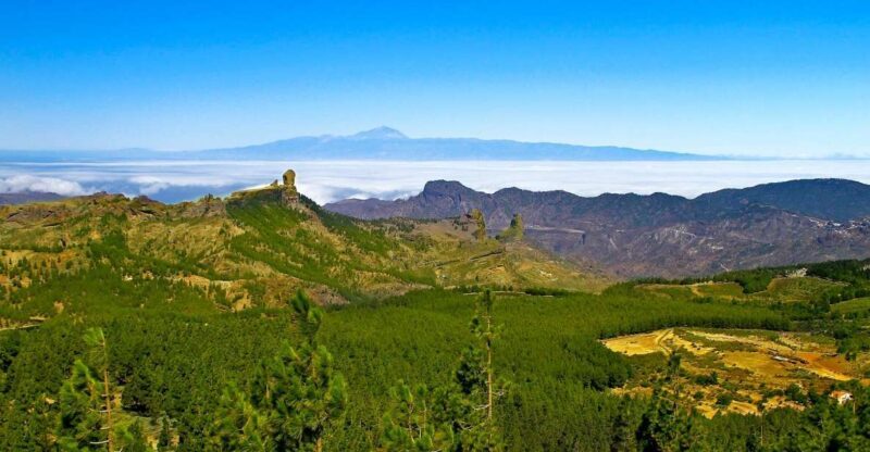 Gran Canaria Highlights Full-Day Tour by Bus - Final Thoughts