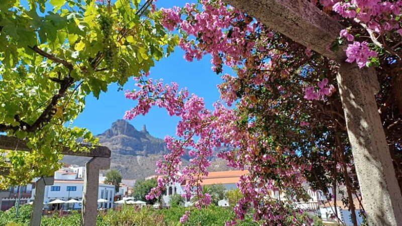 Gran Canaria: Highlights & hidden gems with Sky Rebels - Why This Tour Offers Value
