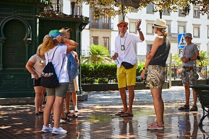 Gran Canaria Highlights Private Tour VIP - Comfort, Transportation, and Guide