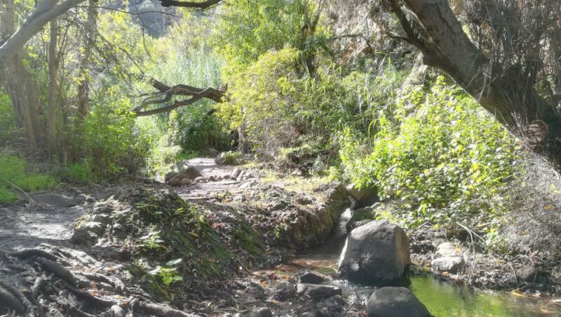 Gran Canaria: "Magic Waterfalls" Hiking Tour - Exploring the "Magic Waterfalls" Hiking Tour on Gran Canaria