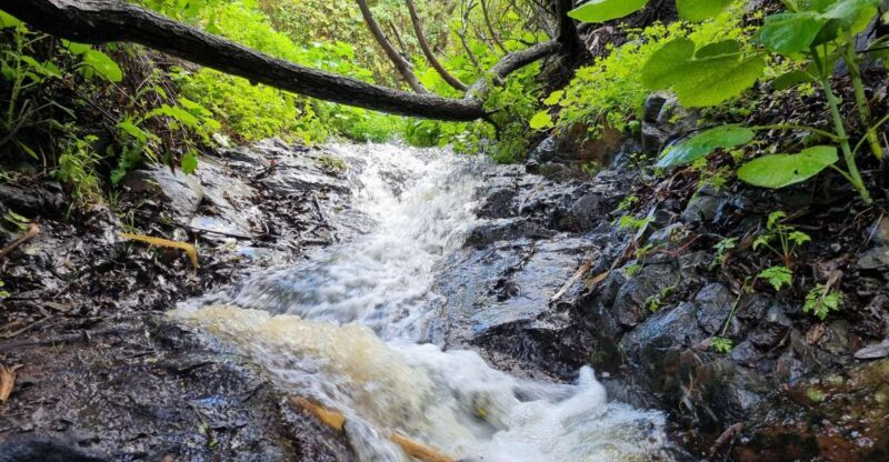 Gran Canaria: "Magic Waterfalls" Hiking Tour - Why This Tour Offers Good Value