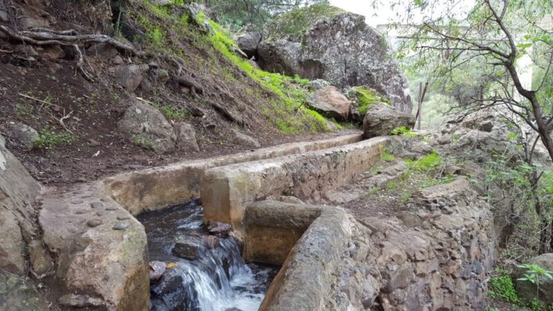 Gran Canaria: "Magic Waterfalls" Hiking Tour - Who Should Consider This Tour?