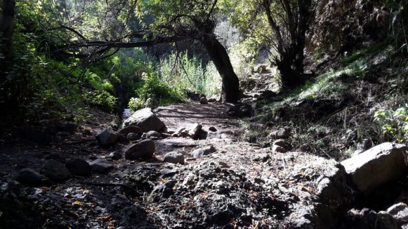 Gran Canaria: "Magic Waterfalls" Hiking Tour - Final Thoughts
