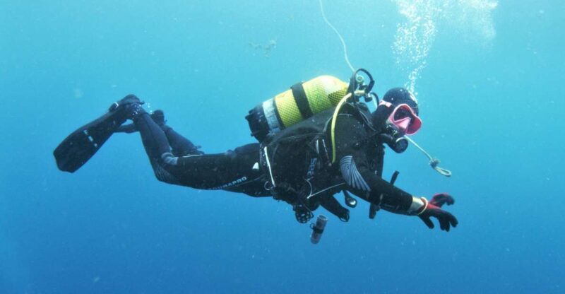 Gran Canaria: Morning Scuba Dive - Gran Canaria: Morning Scuba Dive – A Detailed Review