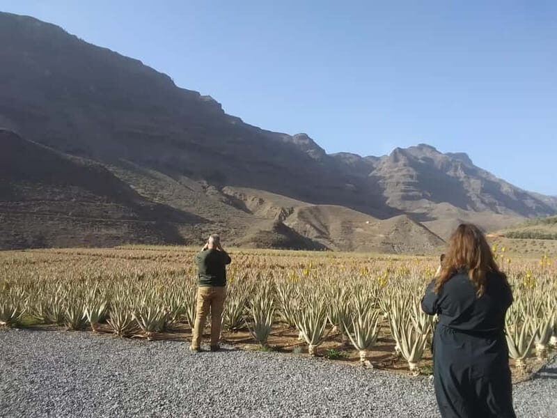 Gran Canaria Peaks in Minibus: Firgas, Teror, Aloe Vera tour - FAQ