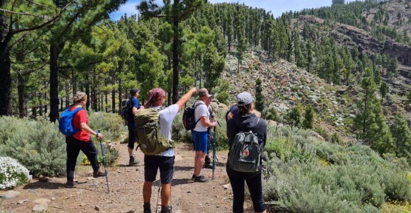 Gran Canaria: "Peaks of Gran Canaria" Hiking Tour - Exploring the "Peaks of Gran Canaria" Hiking Tour