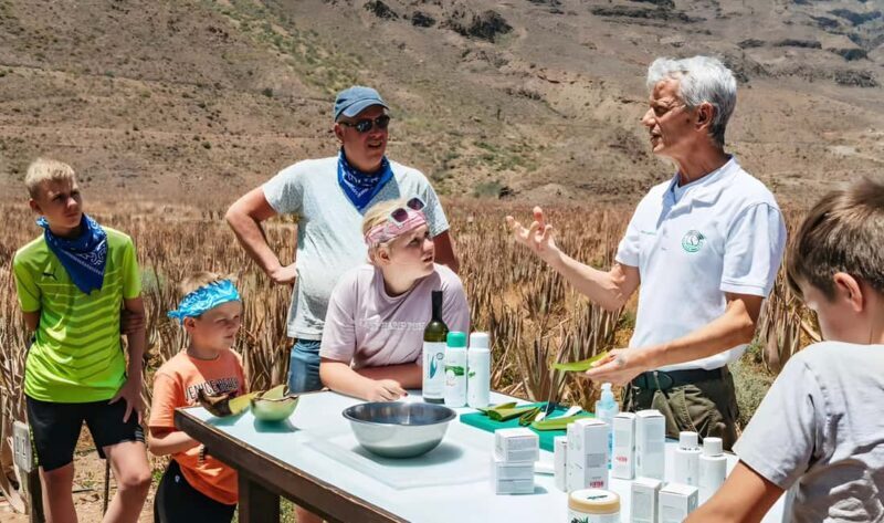 Gran Canaria: Premium Safari 4x4 Tour with Local Guide - A Deep Dive into the Gran Canaria Safari Experience