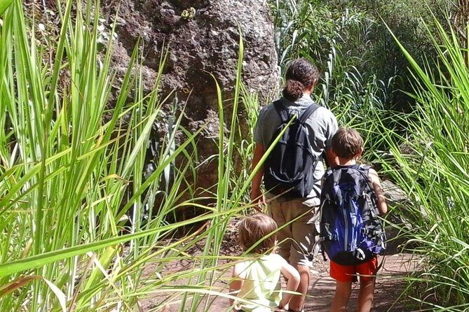 Gran Canaria private walks - Key Points
