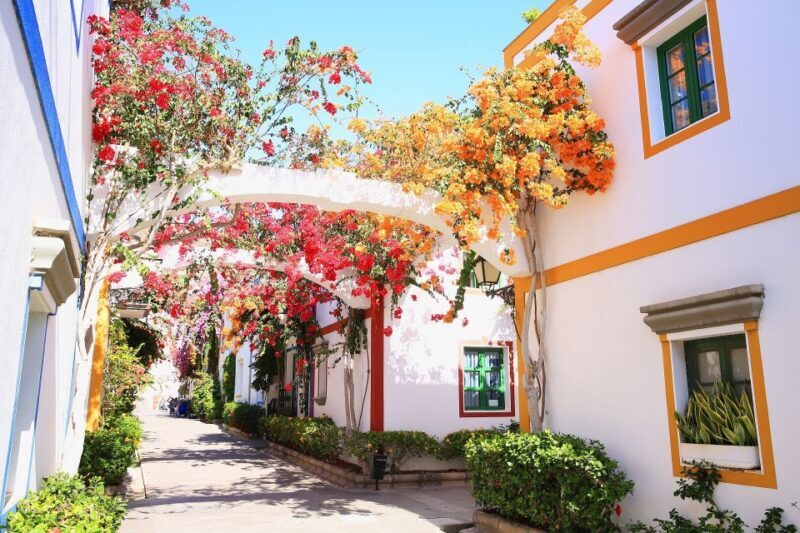 Gran Canaria - Puerto de Mogán & Market - Key Points