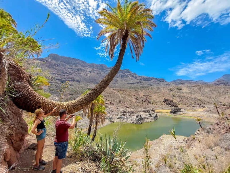 Gran Canaria: Red Gorge, Cave, Oasis Adventure Tour & Picnic - Who Should Book This Tour?