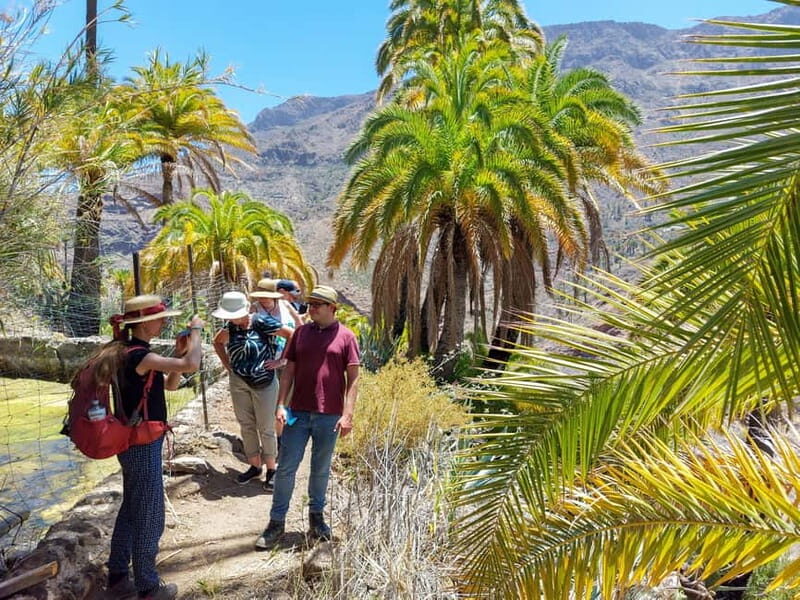 Gran Canaria: Red Gorge, Cave, Oasis Adventure Tour & Picnic - Frequently Asked Questions