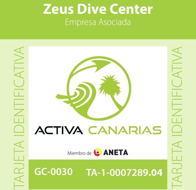 Gran Canaria Scuba Diving for Certified Divers - Why This Tour Offers Good Value