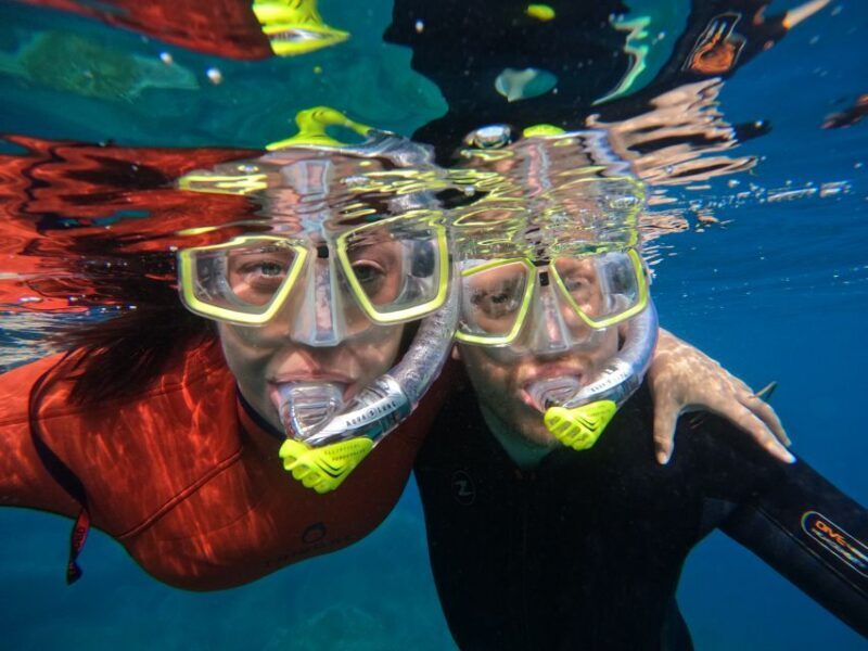 Gran Canaria: Snorkel tour with boat on the west coast - What’s Included and How It Works