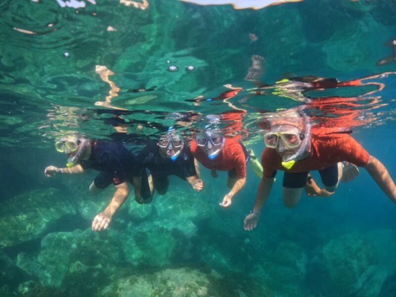 Gran Canaria: Snorkel tour with boat on the west coast - Authentic Marine Encounters and Scenic Beauty