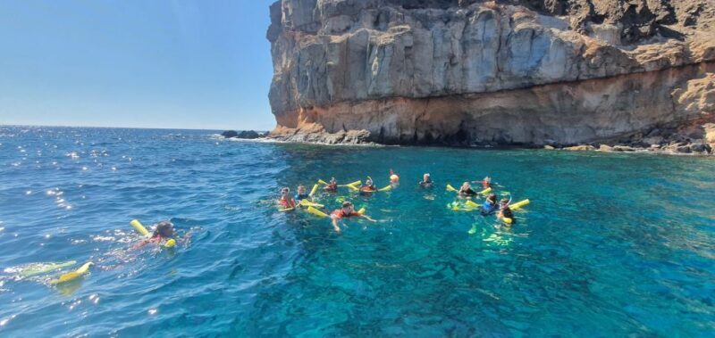 Gran Canaria: Snorkel tour with boat on the west coast - Final Thoughts: Is It Worth It?