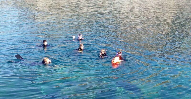 Gran Canaria: Snorkeling Trip - Key Points