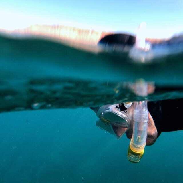 Gran Canaria: Snorkeling Trip - What You Can Expect on Your Snorkeling Trip