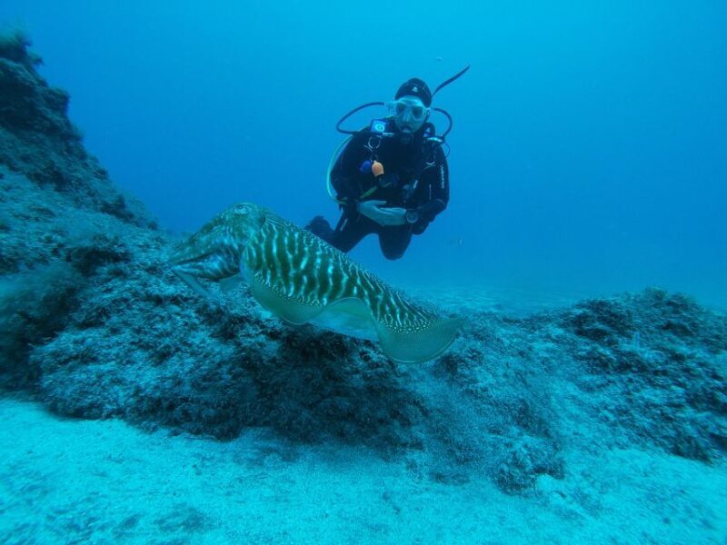 Gran Canaria: Try Scuba Diving for Beginners - Practical Details and Considerations