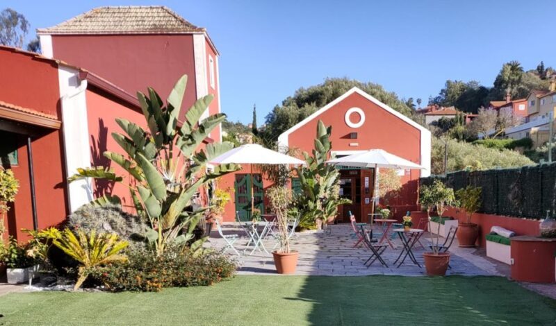 Gran Canaria: Winery Tour, Wine Museum, and Tasting - Who Should Consider This Tour?