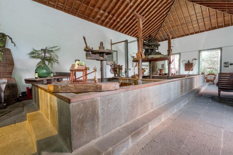 Gran Canaria: Winery Tour, Wine Museum, and Tasting - Final Thoughts
