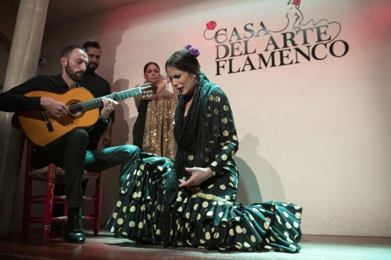 Granada: 1-Hour Traditional Flamenco Show - Final Thoughts