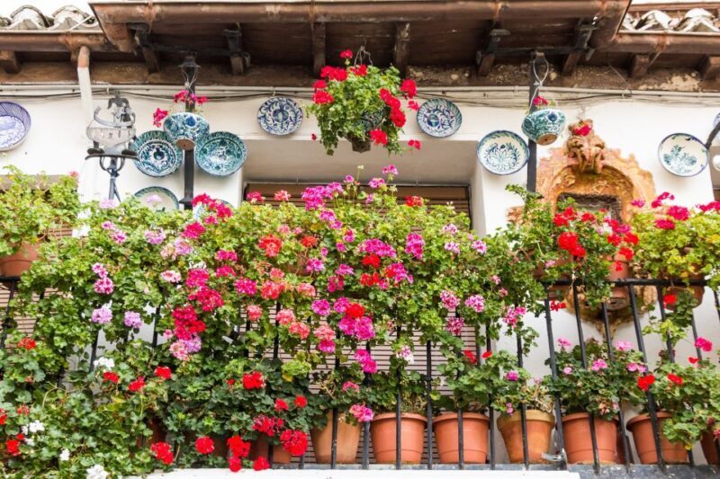Granada: 2hour Tour of The Albaicín & Sacromonte Premium - Discover Granada’s Historic Heart: The Albaicín & Sacromonte Premium Tour