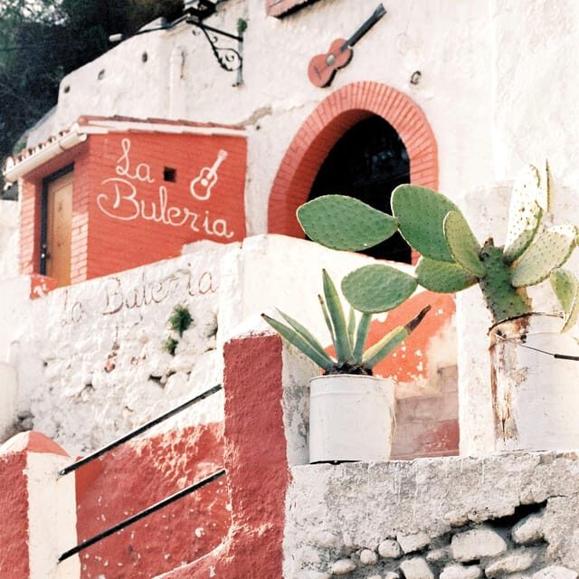 Granada: Albaicín and Sacromonte Guided Private Walking Tour - Who Should Consider This Tour?