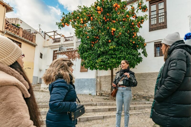 Granada: Albaicín and Sacromonte Guided Sunset Walking Tour - A Detailed Look at the Tour Experience