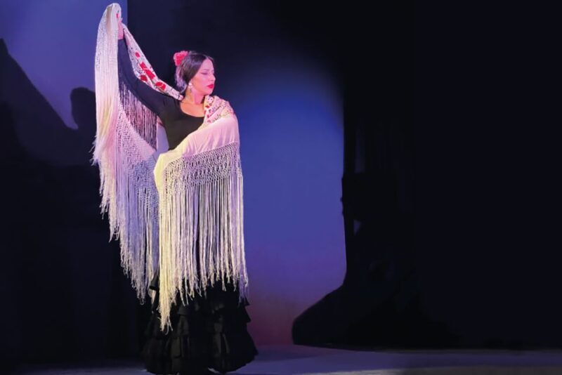 Granada: Albaicín & Sacromonte Walking Tour & Flamenco Show - A Detailed Look at the Tour Experience