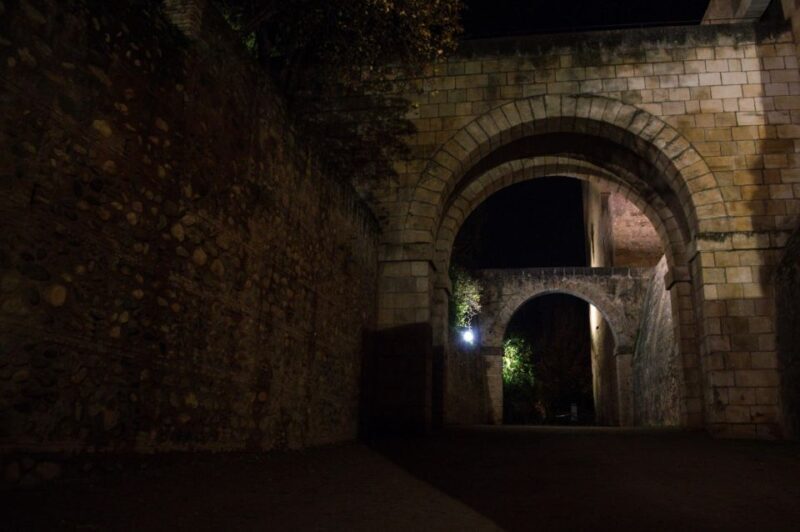 Granada: Alhambra Night Visit Entry Ticket - A Detailed Look at the Granada: Alhambra Night Visit Experience