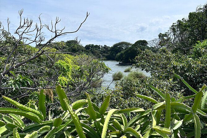 Granada colonial city & Isletas boat tour - The Monkeys’ Island and Local Culture